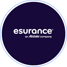 Esurance client logo – workplace collaboration and influence training